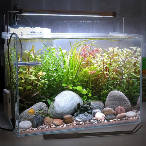 Nano aquarium 9 liters - small glass aquarium...