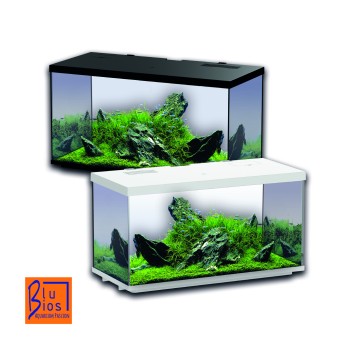 Sirius Aquarium 31 - Aquarium complet - Mesures: 48 × 22...
