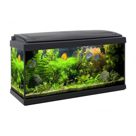 Acquario Rio 125 bianco Juwel con supporto