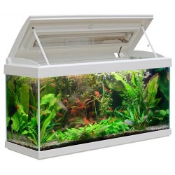 Acquario Milo 80 MTB