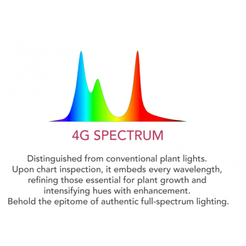 Twinstar Light 90G Series II (2026) -...