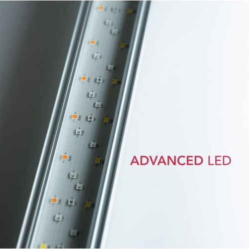 Twinstar Light 140G + Pro Series II (2026) -...