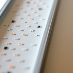 Twinstar Série Light 200E V (2026) - LED de plafond LED de RGBW pendant 20-30 cm Aquariums d'eau douce | Contrôle de la lumière 