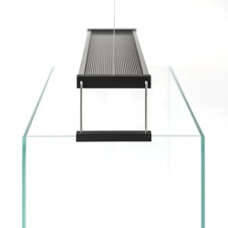 Twinstar Light 200s 4.2 (2026) - Plafonnier LED RGBW pour les aquariums d'eau douce 20-25 cm | Contrôle de la lumière Bluetooth 