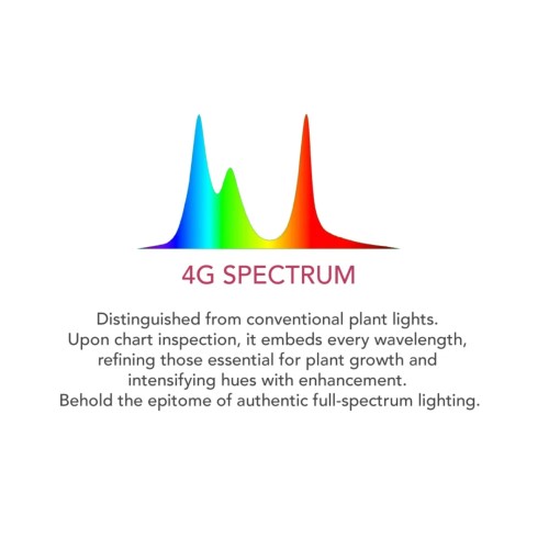 Twinstar Lumière 900s 4.2 (2026) - Plafonnier...