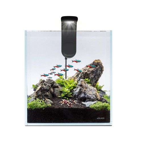 Aqualhter nano set 10 liters - small aquarium...