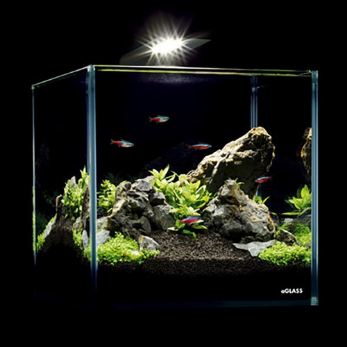 Aqualhter nano set 10 liters - small aquarium...