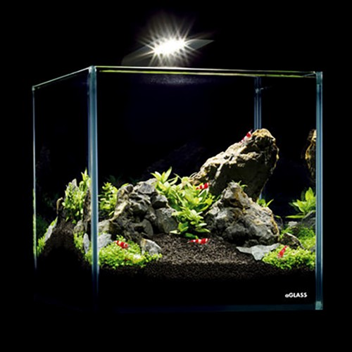 Aqualhter Nano Set 10 litres - Petit aquarium...