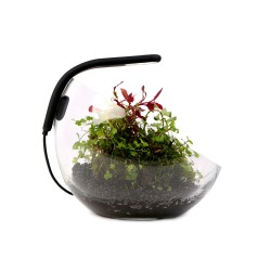 Aqualhter Pico Soft - 6500K | 100 lumens - lumière LED flexible pour les aquariums jusqu'à 20 litres