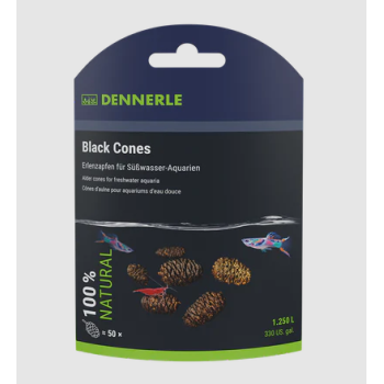 Altano de Black Cones pine cones - Dennerle 2