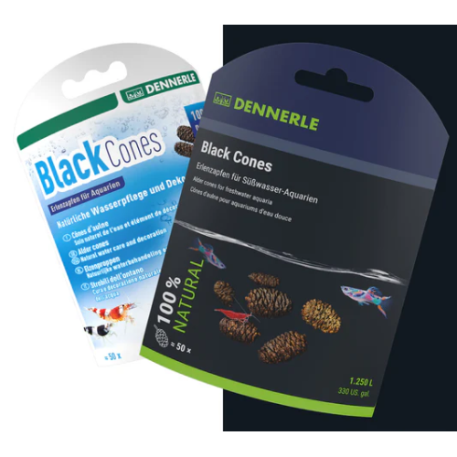 Pigne Ontano De Black Cones - Dennerle