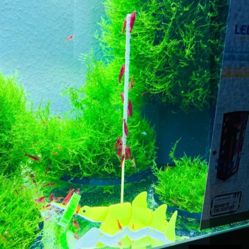 Support for lollipop-shaped fish food with...