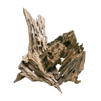 Dragon Wood Wood - natural wood root for aquarium