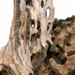 Dragon Wood Wood - natural wood root for aquarium