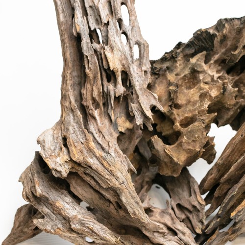 Dragon Wood Wood - natural wood root for aquarium