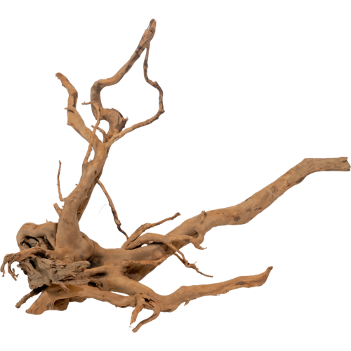 Red Moor Wood Wood - Natural wood root for...