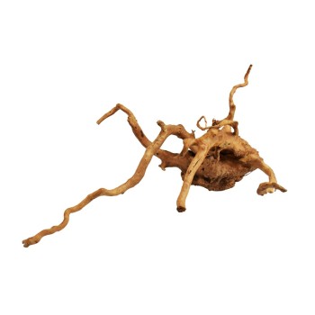 Red Moor Wood Wood - Natural wood root for aquarium 2