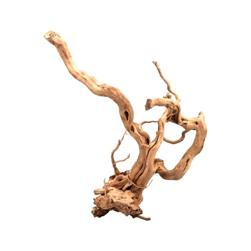 Legno Red Moor Wood - Radice di legno naturale...