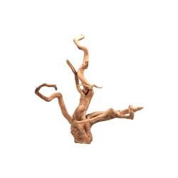 Bois de bois de maure rouge - Racine de bois naturelle pour aquarium
