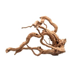 Bois de bois de maure rouge - Racine de bois naturelle pour aquarium