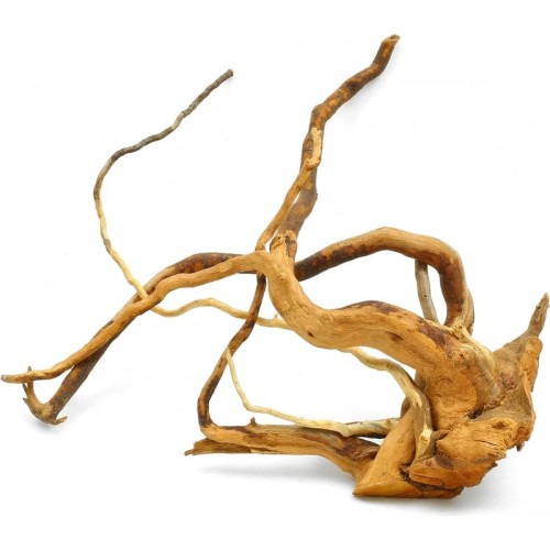 Red Moor Wood Wood - Natural wood root for...