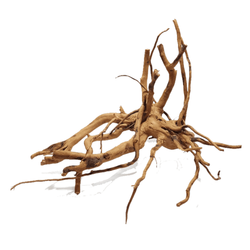 Red Moor Wood Wood - Natural wood root for...