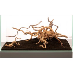 Red Moor Wood Wood - Natural wood root for aquarium