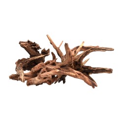 Wood Drift Wood - Natural wood root for aquarium