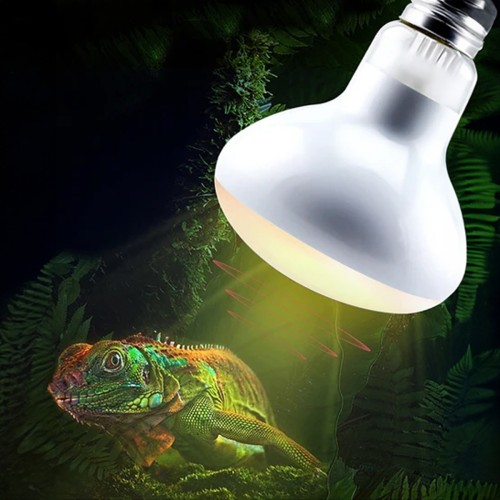 copy of Repti Glo 2.0 Compact, lampada...