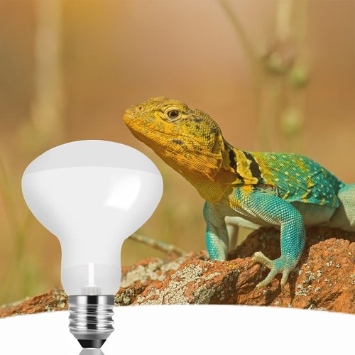 Solar Lamp Camillo - Blu Bios - Daytime lamp...