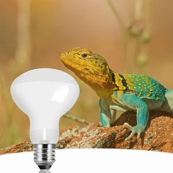 copy of Repti Glo 2.0 Compact, lampada fluorescente compatta a bulbo per terrari - Exo Terra