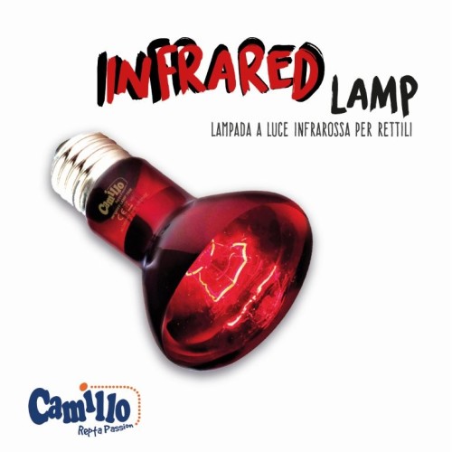 Infrared Lamp Camillo - Blu Bios - High...