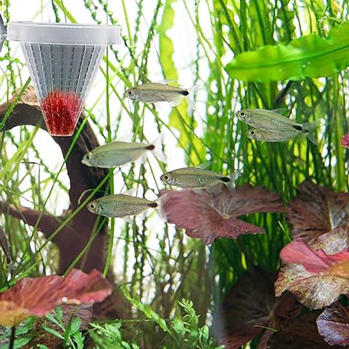 Floating manger with suction cup for Tubifex...