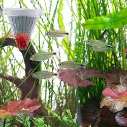 Floating manger with suction cup for Tubifex and live food