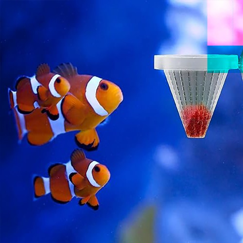 Floating manger with suction cup for Tubifex...