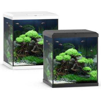 copy of AMTRA SYSTEM TANK V2 60 LED Black