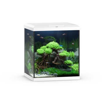 VIO CUBE 54 Aquarium set with filter and light (41x36x47h cm) - Juwell Color-White