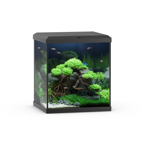 Juwel VIO CUBE 54 + Mobile SBX - Full black...