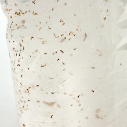 copy of Covers 90ml live food for fish Live Food