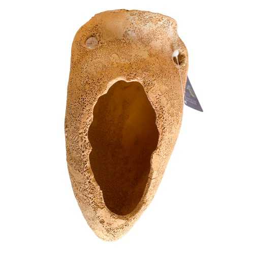 AMPHORA TERRACOTTA POUR AQUAIRE (MESURES DE...