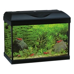 AMTRA BASIC LED 60 - Aquarium de 55 litres avec filtre interne et éclairage LED