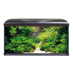 Amtra Basic LED 80 - 85-liter aquarium with internal filter and LED lighting