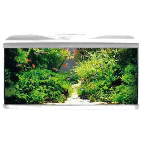 Amtra Basic LED 80 - Acquario 85 litri con...