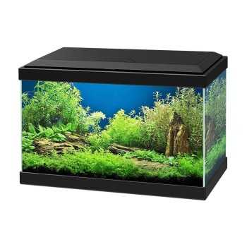 Acquario Ciano Aqua 20 LED - piccolo acquario completo da...