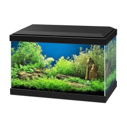 Acquario Ciano Aqua 20 LED - piccolo acquario completo da 17 litri per neofiti (40x20x26h)