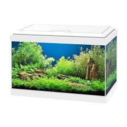Cyan Aquarium Aqua 20 LED - Small 17-liter complete aquarium for Neophytes (40x20x26h)