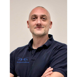 Matteo - Specialized consultancy