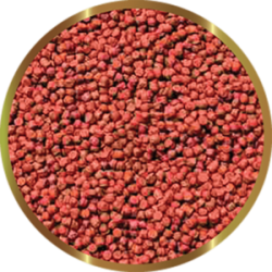 SHG Premium Hi Red - Complete food in granules for freshwater ornamental fish