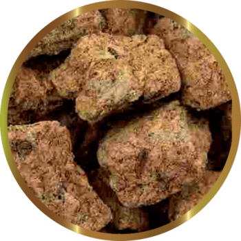 SHG ARTEMIA LIOFILIZZATA - Mangime liofilizzato ad alto... 2