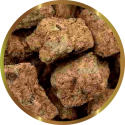 SHG ARTEMIA LIOFILIZZATA - Mangime liofilizzato ad alto valore nutrizionale per pesci dolci e pesci marini